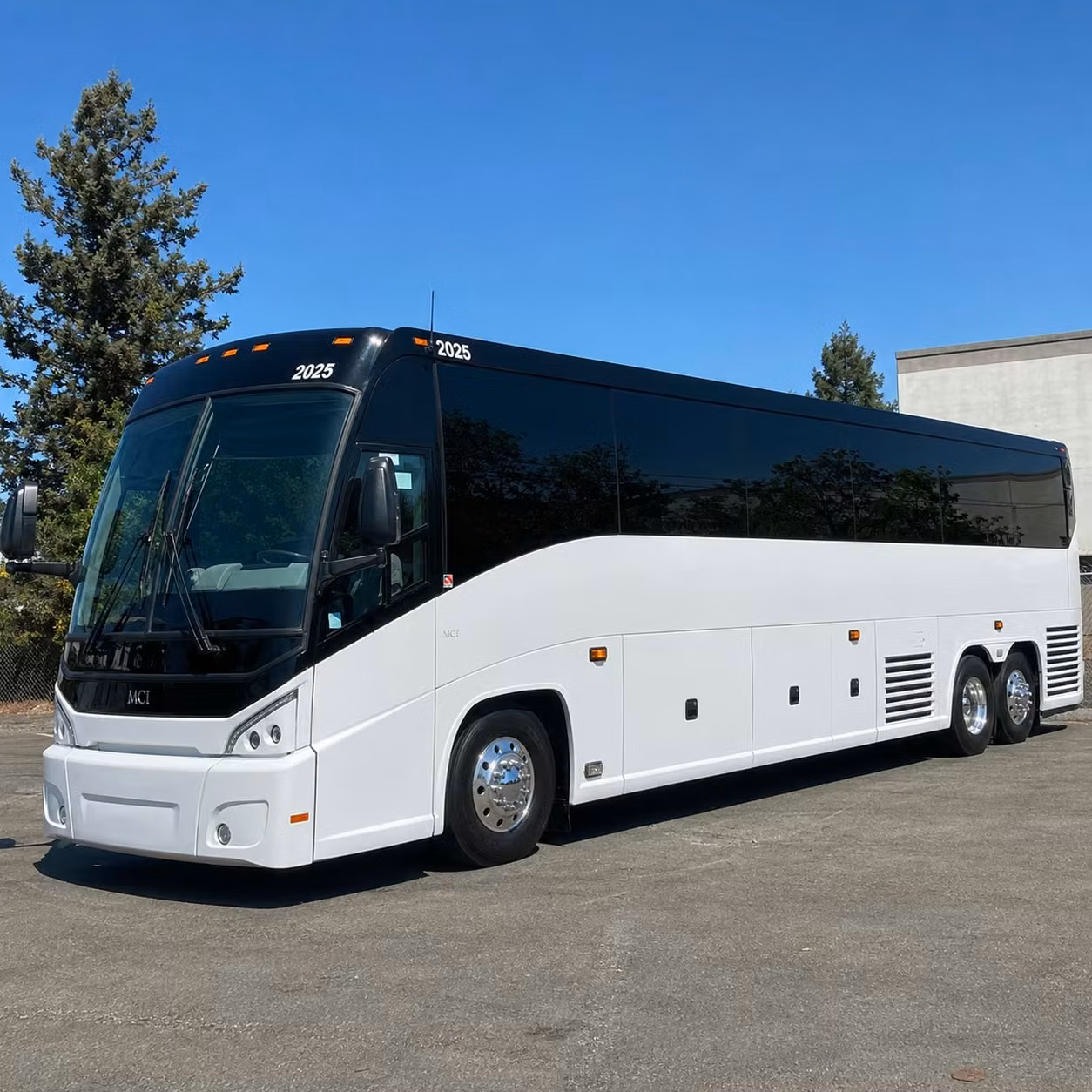 charter bus rentals to cameron park zoo and waco s top nature destinations